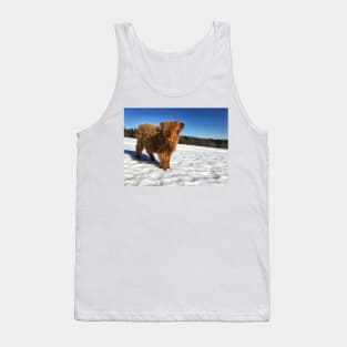 Scottish Highland Cattle Calf 1732 Tank Top